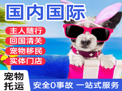 朔州航空托运国际宠物托运 【国